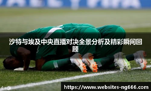 沙特与埃及中央直播对决全景分析及精彩瞬间回顾